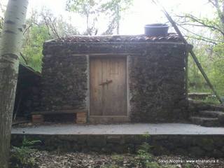 Dagala del Picchio